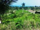 ������� � ����������: ����� �� ������ ������ � ������������� ����������