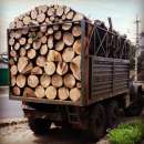 ����� �� ������� � ���������� ���������, ��� - ����������� 3