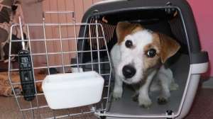 ����� �� ������� �������� �������� - ����������� 1