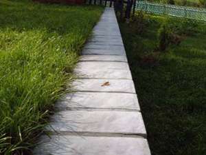 ����� �� ������� ������������ ������� � �. ����������� - ����������� 1