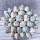 ������� � ����������: ����� �� ��������