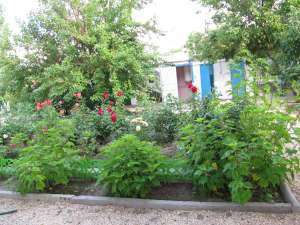 ����� �� �������� ���� - ����������� 1