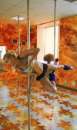������� � ����������: ����� �� ���������. Pole dance, Exotic pole dance,���������� ����������� (���� �� 5 ���)