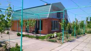 ����� �� ����������� ���� ���� ������ - ����������� 1