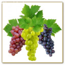 ������� � ����������: ����� �� ����������� ��������