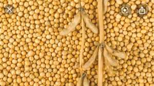 ����� ��� 5000 ���� - ����������� 1