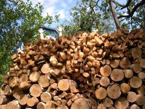 ����� ��� ���� � ���� - ����������� 1