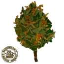 ������� � ����������: ����� ��� ���� ����