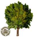 ����� ��� ���� �������. ������ - �������/�������