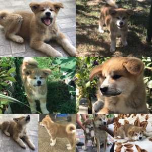 ����� ��� ����� ������ ����! - ����������� 1