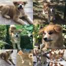 ������� � ����������: ����� ��� ����� ������ ����!