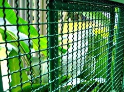 ����� ��� �����, �������, �������. - ����������� 1