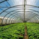 ����� ��� ������ Vatan Plastik, ������.��������������������������