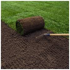 ����� ��� ������ ���� ����� ��� ������ ������ ������ ���� - ����������� 1