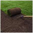 ����� ��� ������ ���� ����� ��� ������ ������ ������ ����. �������� - �������/�������