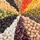 ����� ���, ������, ��������, ��������, ����� ������, ����, �������. - ����������� 2