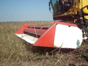 ����� ��� ������ ������������� Fast Stream - ����������� 1