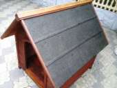 ������� � ����������: ����� ��� ������� ������