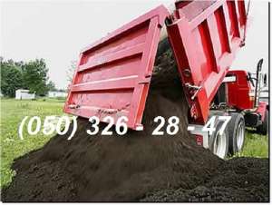 ����� ��� �������. ��������� || ����� - ����������� 1