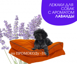 ����� ��� �������� ������ ������� ����������������� �� ������������� - ����������� 1