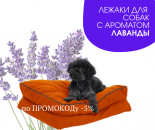 ������� � ����������: ����� ��� �������� ������ ������� ����������������� �� �������������