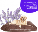 ����� ��� �������� ������ ������� ����������������� �� ������������� - ����������� 2