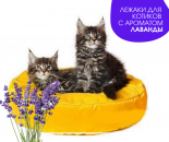 ����� ��� �������� ������ ������� ����������������� �� ������������� - ����������� 3