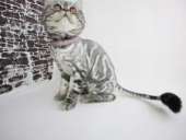 ����� ��� ��������. �������, ��������. ����� �� ��� - ����������� 2