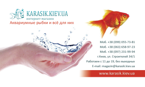 ����� ��� ��������� - ����������� 1