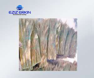 ����� ��� ������������ ������� - ����������� 1