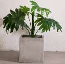 ����� ��� ������������� ������� ��������� �1