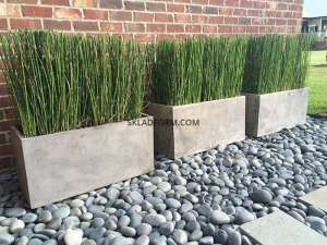 ����� ��� ������������� ������� ��������� �2 - ����������� 1