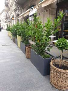 ����� ��� ������������� ������� ��������� �5 - ����������� 1