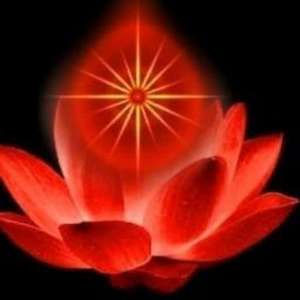 ����� ���� - ����������� 1