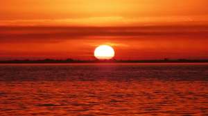 �����, ���� ���, ���� �� ������� - ����������� 1