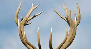 ����� ���� ����, ����� ������, ��������� - ����������� 1