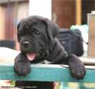 ������� � ����������: ����� ���� �����