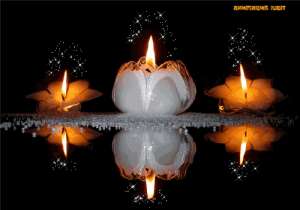 ����� ����. ����� ����� - ����������� 1