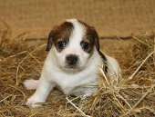 ������� � ����������: ����� ���� ������ ������