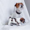 ������� � ����������: ����� ���� ������ ������� ��������������� �� �������� ���� ���������