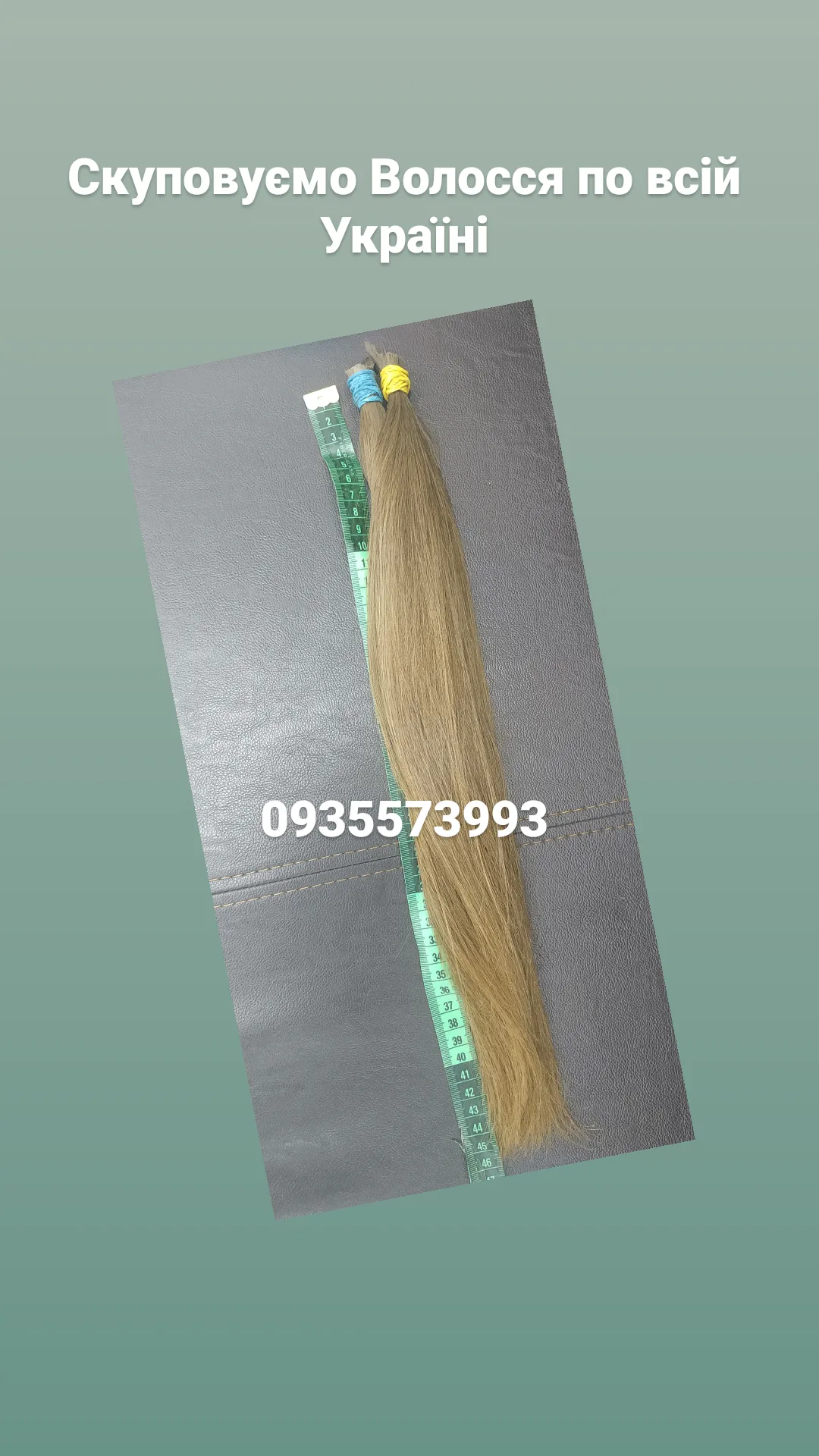 ����� ���� �������. �������, �������� - ������