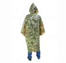 ����� ���� �������� ������� - ����������� 2