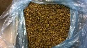 ����� ����� - ����������� 1