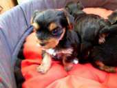 ����� ����� - ����������� 2