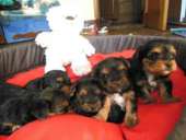 ����� ����� - ����������� 3