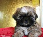 ����� ��-��� - ����������� 2