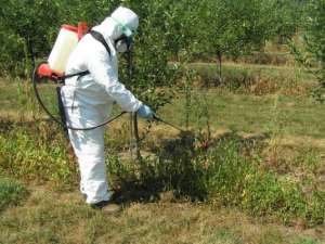 ����� ����� - ����������� 1