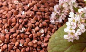 ����� ����� - ����������� 1