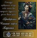 ����� ����� � �����. ������ �������� � �����������? �������� � ��������� ����� �� ��� � ������ ����?