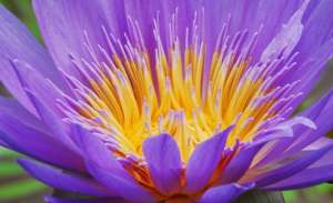 ����� ����� � ����������� ������ - ����������� 1